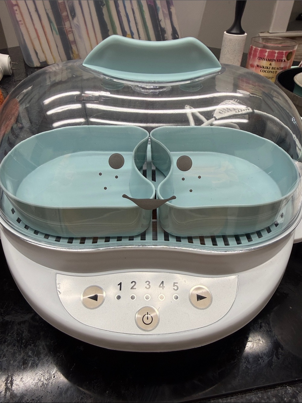 NutriBullet Baby-New. I never used it.